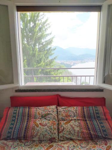 Bonga 28, Luino (photo 8)