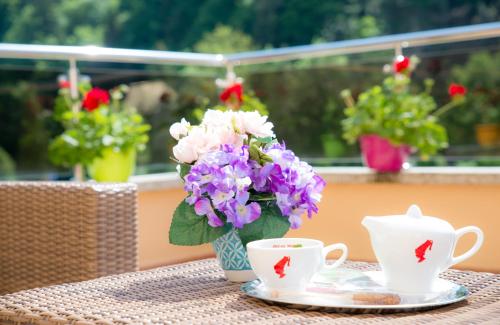 A Hotel Com Hotel Nemira Hotel SlÄnic Moldova Romania Price Reviews Booking Contact