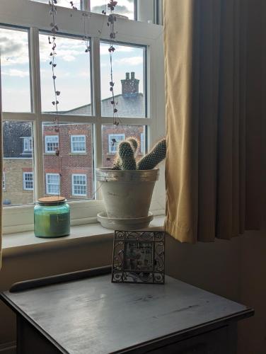 Budget single room close to Bedford