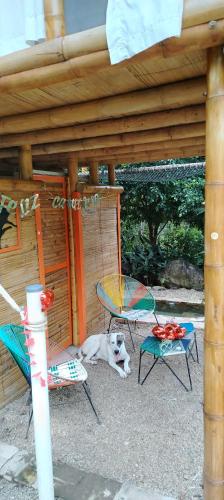 Glamping 8Caminos in Carmen de Apicala