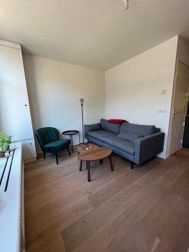 Museum district, beautiful renovated house, Amsterdam (photo 5)