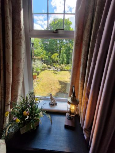 酒吧/高級酒吧, 老鷹美景賓館 (Eagle View Guest House) in 紐敦莫