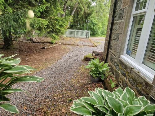 Eagle View Guest House - image 12