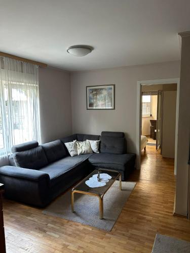 One-Bedroom Apartment image 4