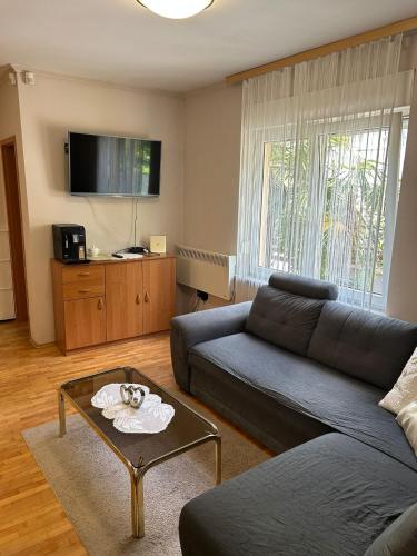 One-Bedroom Apartment image 2