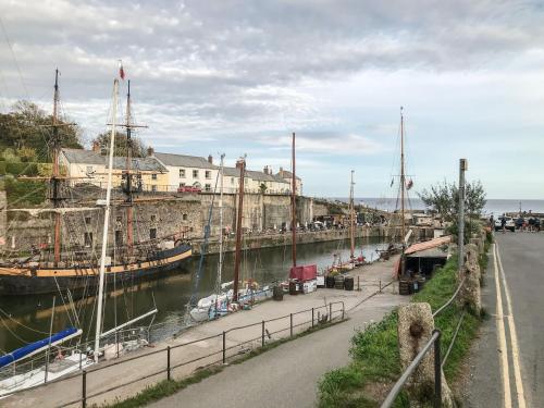 Trelan - image 12