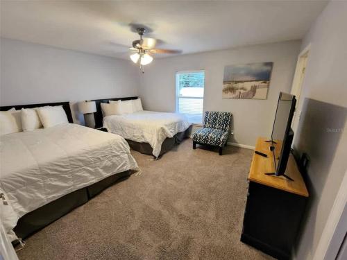 High end beds, SPA, Sauna, Pool in Lutz (FL)