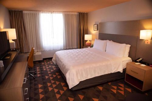 King Room with Mobility Access and Bathtub with Grab Bars, Non-Smoking room in Wyndham Houston Hobby Airport