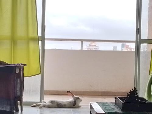 Departamento Panorámico