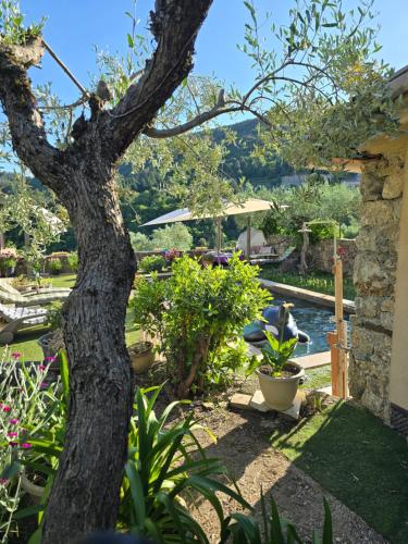 Gîte SPA Piscine Cévennes (Gite SPA Piscine Cevennes) in แซ็ง-ต็องเดร-เดอ-มาฌองกูล