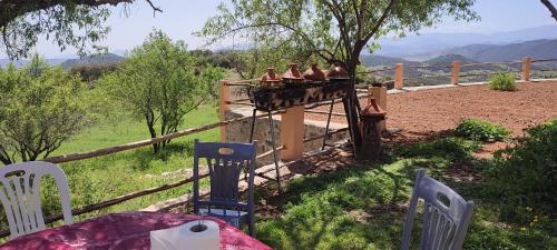 Houcine gite in 타자