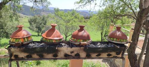 Houcine gite in 타자