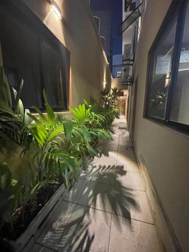 Pousada Mare Alta em Pajucara in Ponta da Terra