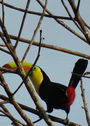 Arenal Base Camp - image 5
