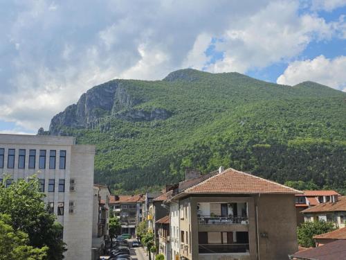 Апартамент за гости НИКИА в центъра с изглед към Врачанския Балкан Nikia Cityscape & Mountain Escape, Vratsa (fotografie 10)
