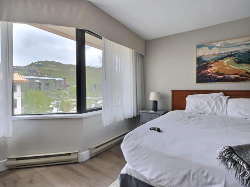 Studio 518 at Perfect Location with Pool and Hot Tub, Crested Butte (fotografie 3)