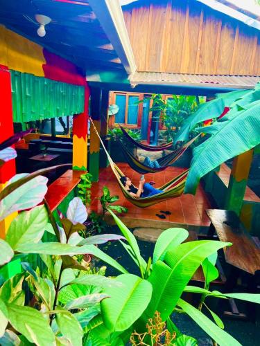 Lazy Crab Hostel in 巴尔盖