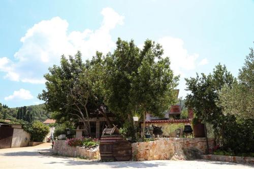 Apartments with parking space Dol, Hvar - 24122 - Location saisonnière - Stari Grad