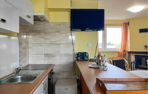 virtuve, 1 Bedroom Beautiful Home In Nowe Warpno in Nowe Warpno