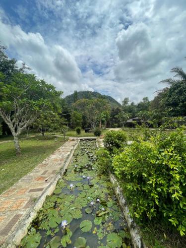 Garden, Muangkham Peaceandlove Farm near Cave Beach Chiangrai