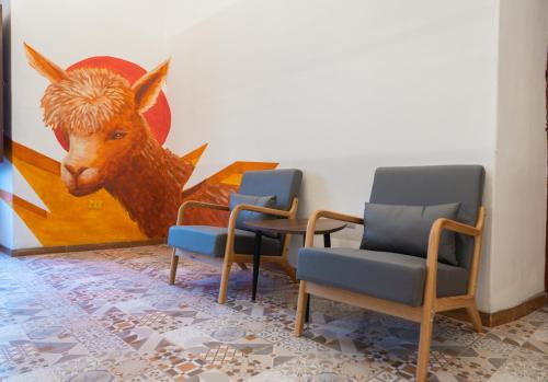 Instalaciones, Way Kap Hostel Arequipa in Arequipa