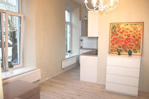 

Igo apartment Uzupis