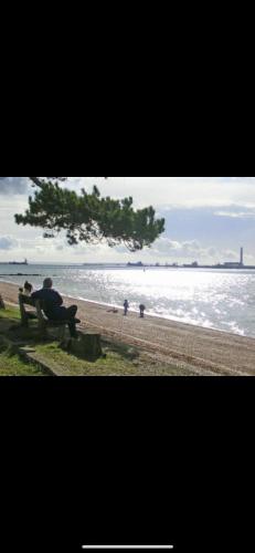 Luxury Lodge Escapes in Netley