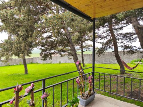 Bluebell Cottage in 曼格利希