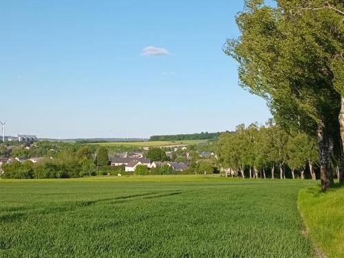 Trixi in คาสเทลเลาน์