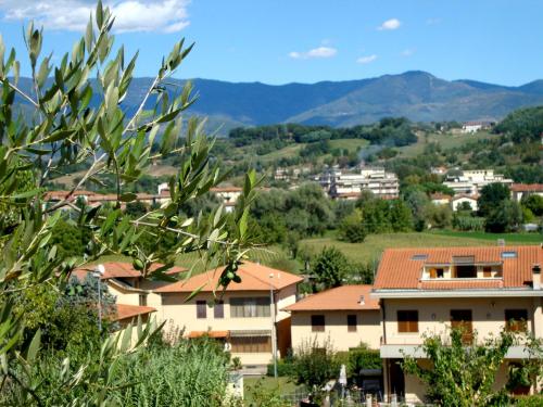 Accommodation in San Giovanni Valdarno