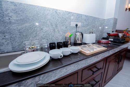 One-Bedroom Apartment image 5