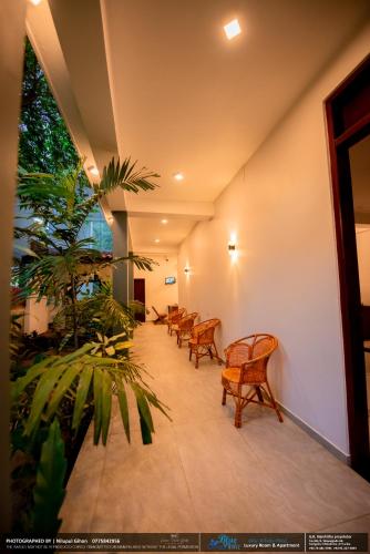 Apartment - Ground Floor image 4