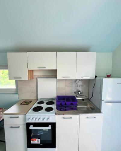 Konyha, Apartmani Sara Banja Vrujci in Popadić