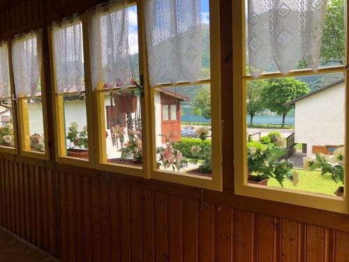 Bungalow Tirolese - Apartment - Molina di Ledro