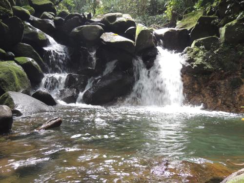 Yatama Rainforest Ecolodge