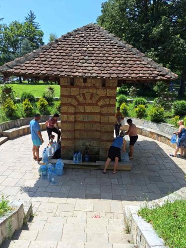 Apartmani Sara Banja Vrujci in Popadić