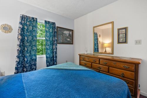 Mountain Dew - 2 Bedrooms 2 Baths Sleeps 4 cabin - image 11