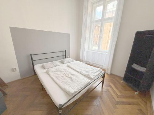 Large Apartment