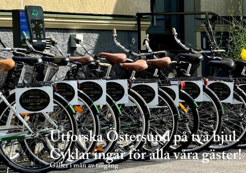 Hotel Jämteborg, Östersund (foto 10)