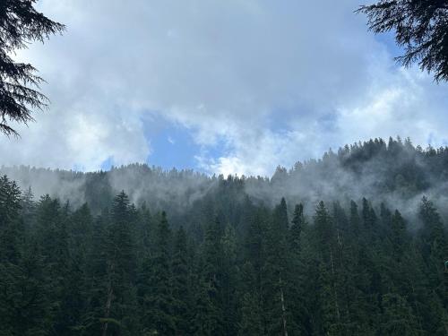 Blue Water Riverside Resort & Fishing Spot Kalam in Drosh