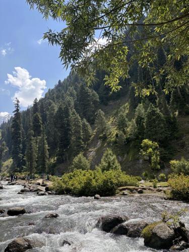 Blue Water Riverside Resort & Fishing Spot Kalam in Drosh