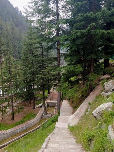 Blue Water Riverside Resort & Fishing Spot Kalam in Drosh