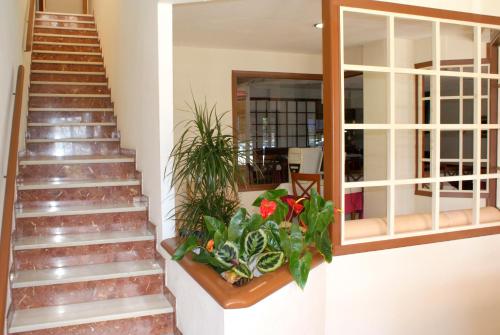 Hotel Carabela 2 - image 4