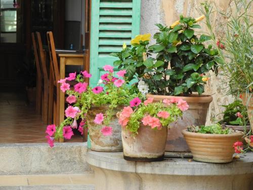  Casa Bougainvillea in Sóller