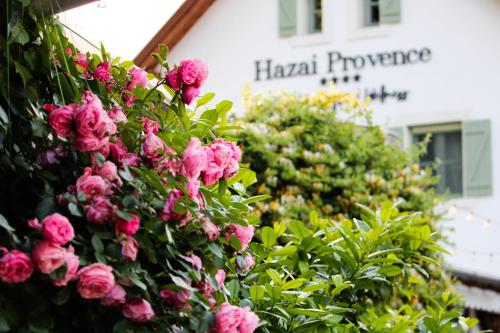 . Hazai Provence