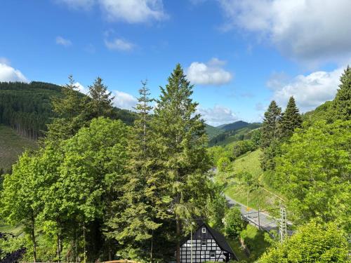 Wohnung mit Weitblick, 50 qm, überdachter Balkon, Schmallenberg (photo 4)