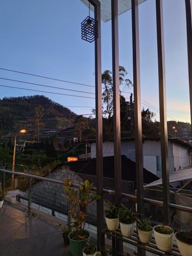 Better House Dieng in Dieng Kulon