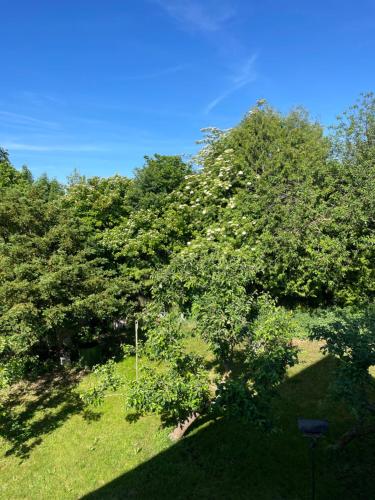 View, Your Home Base - Vacation & Work close to Munich in Dachau