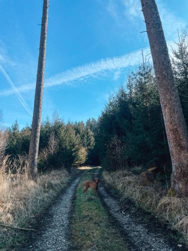 Surrounding environment, Your Home Base - Vacation & Work close to Munich in Dachau