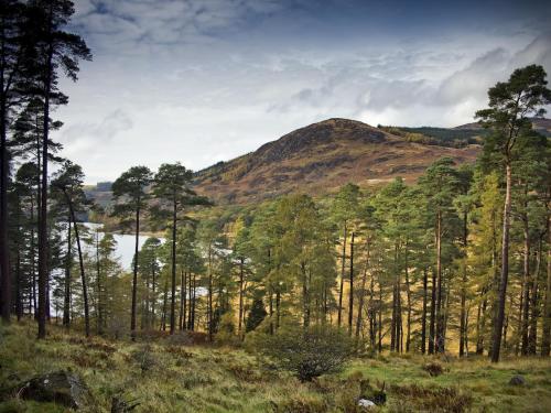 設施, Pass the Keys Cosy Spacious Cottage with Views and Garden in 維格城